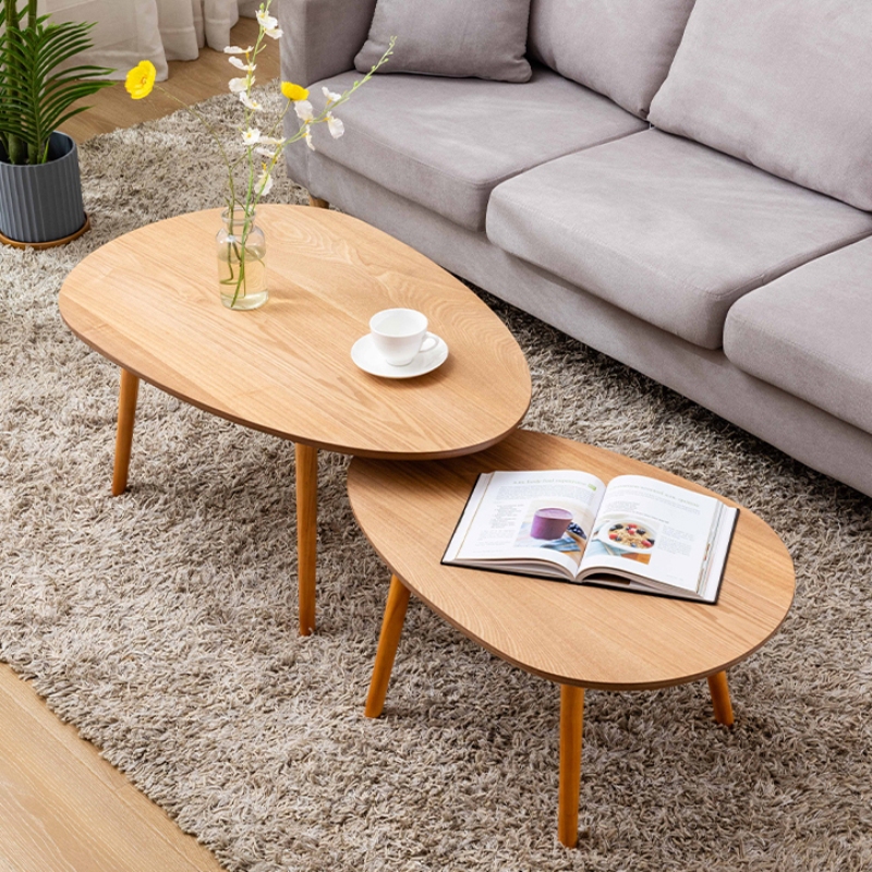 Set of 2 Coffee Table Nesting Table